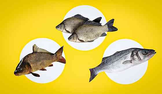 "Дугина" даёт рецепт 3 мг. Донецк