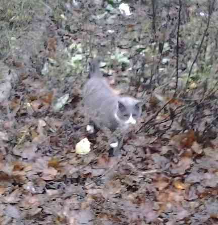 Субботник, на шо золотой запас Донецк