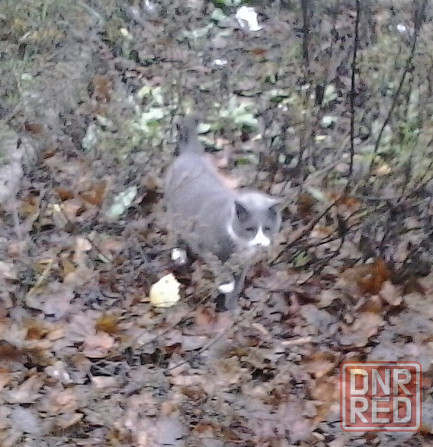 Субботник, на шо золотой запас Донецк - изображение 1