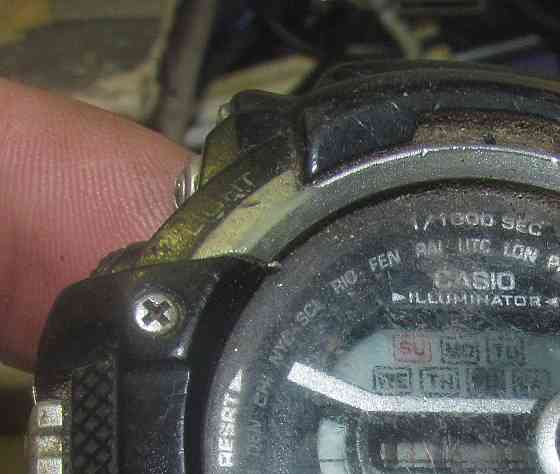 Верный, клубится на кровати Донецк