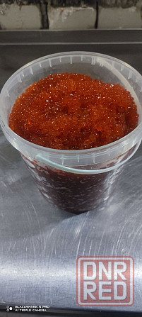 Красная Икра "ЦарьИкраДНР" Донецк - изображение 3