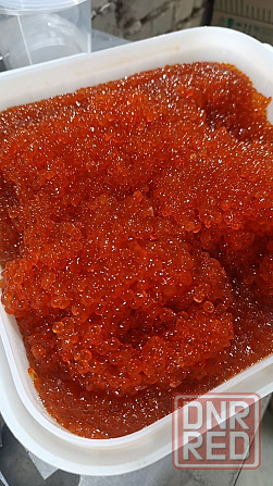 Красная Икра "ЦарьИкраДНР" Донецк - изображение 1