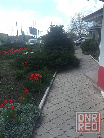 Долгосрочная аренда помещения коммерческого назначения под магазин или пункт выдачи отличный вариант Донецк - изображение 3