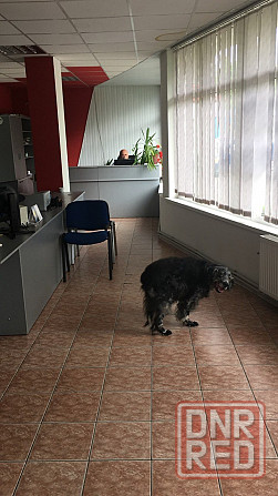 Долгосрочная аренда помещения коммерческого назначения под магазин или пункт выдачи отличный вариант Донецк - изображение 5