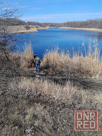 Дача 10 соток у водоёма Донецк - изображение 4