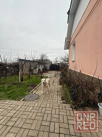 Аренда Уютного 2х комнатного Дома в Ленинском районе-Оцкб - Вода Круглосуточно Донецк - изображение 7