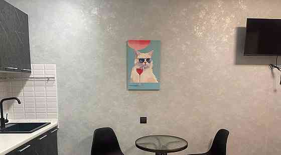 Сдаю студию в Кировском районе на Мирном. Донецк