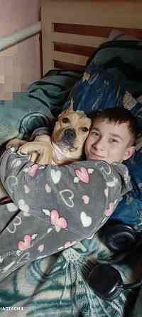 Продажа щенков Макеевка