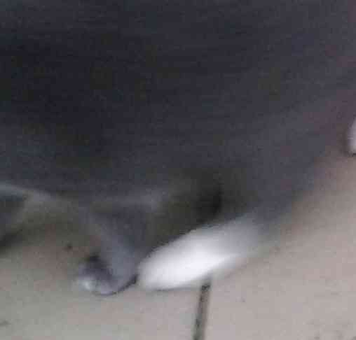 Кротэ проснулся, турбину ищет*** Донецк