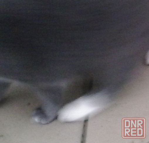 Кротэ проснулся, турбину ищет*** Донецк - изображение 1