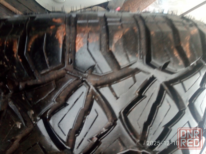 Продам шину Макеевка - изображение 2