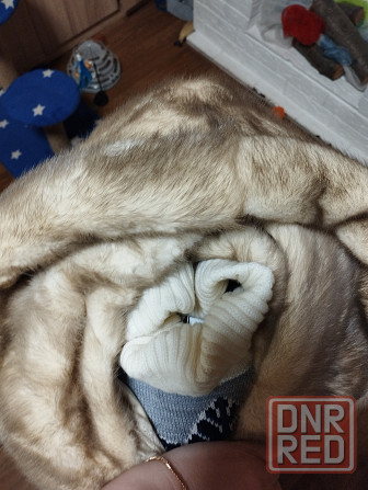 Шубка норковая кимано большого размера 60 р Донецк - изображение 8