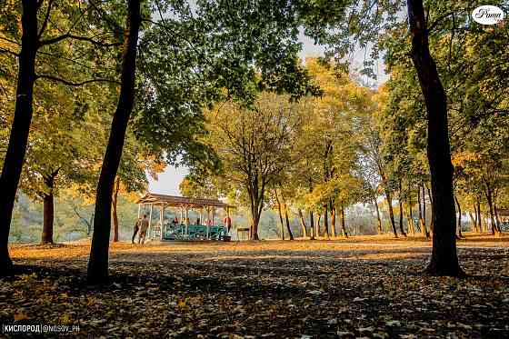 Земельный участок Фомина( Роща). Донецк
