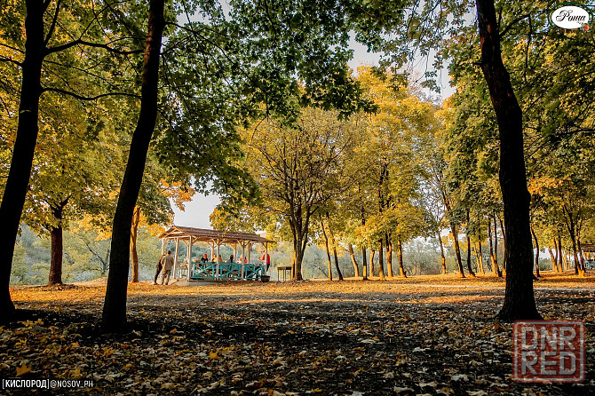 Земельный участок Фомина( Роща). Донецк - изображение 1