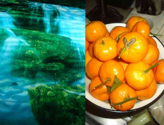 "Ожоговое на ж/д" гпнд грубит* Донецк