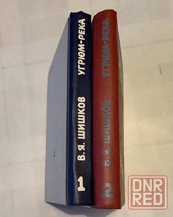 Шишков . Угрюм- река Донецк - изображение 2