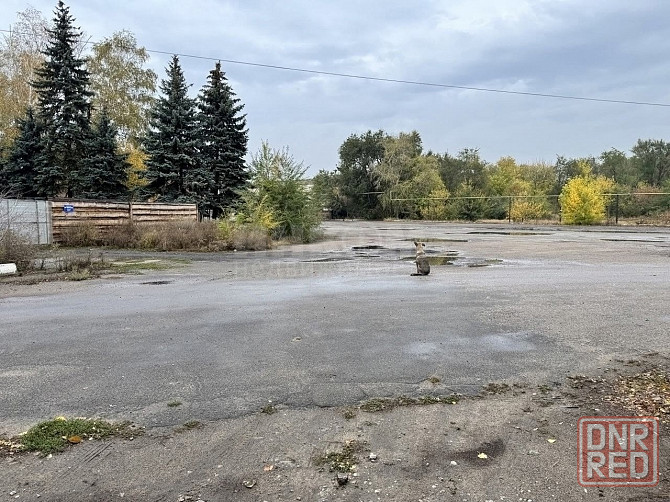 Продам склад 300 м2 в городе Александровск Луганск - изображение 4