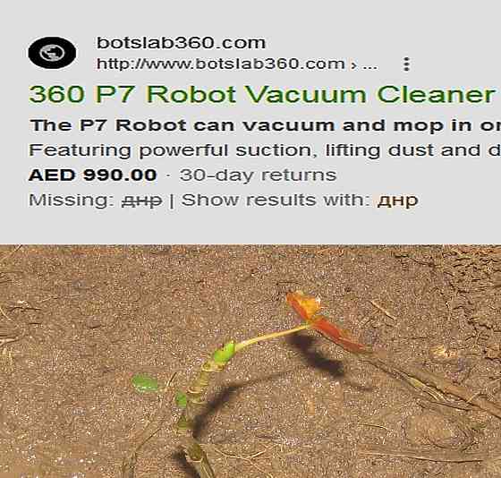 Кротэ Морская психолог' платят Донецк