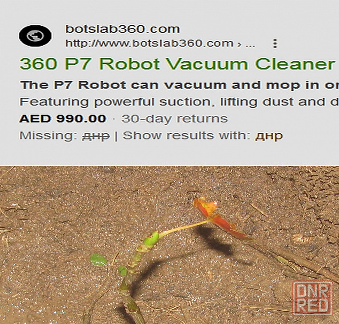 Кротэ Морская психолог' платят Донецк - изображение 1