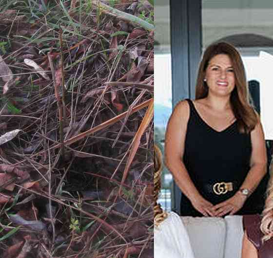 Напрімер 50 судей с ума сошли Донецк