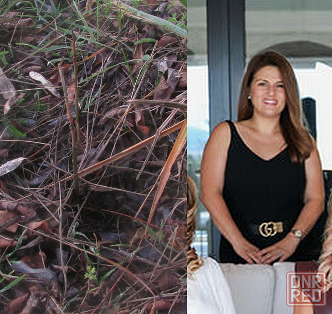 Напрімер 50 судей с ума сошли Донецк - изображение 1