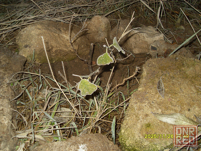 Обязательно надо огородить" Донецк - изображение 1