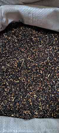 Продам семена люцерны, суданки, эспарцета. Мариуполь