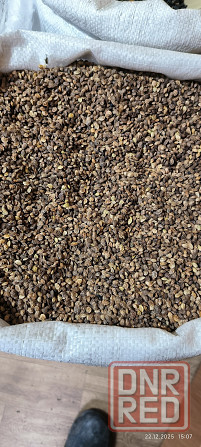 Продам семена люцерны, суданки, эспарцета. Мариуполь - изображение 3