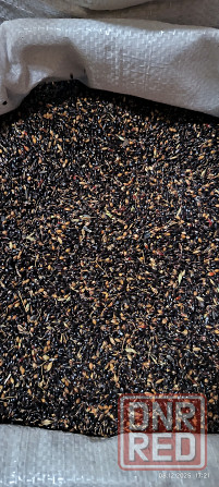 Продам семена люцерны, суданки, эспарцета. Мариуполь - изображение 2