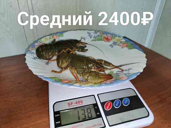 Раки свежие живые Донецк