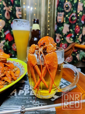 Раки свежие живые Донецк - изображение 1