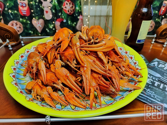 Раки свежие живые Донецк - изображение 4