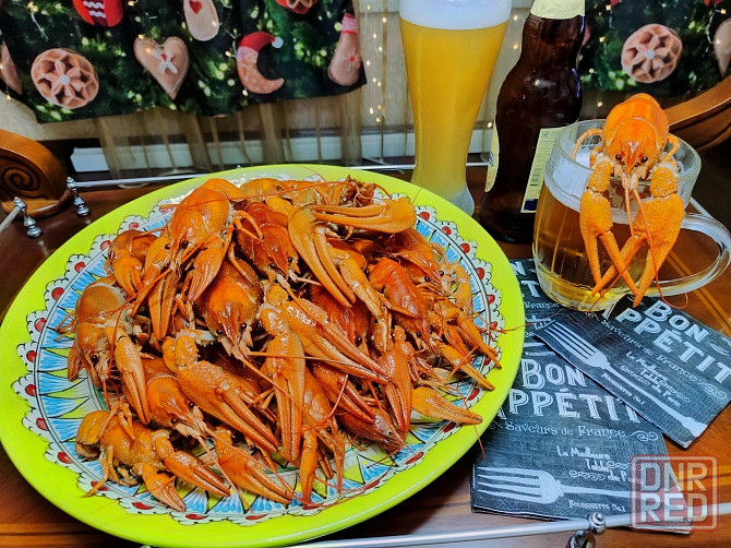 Раки свежие живые Донецк - изображение 2