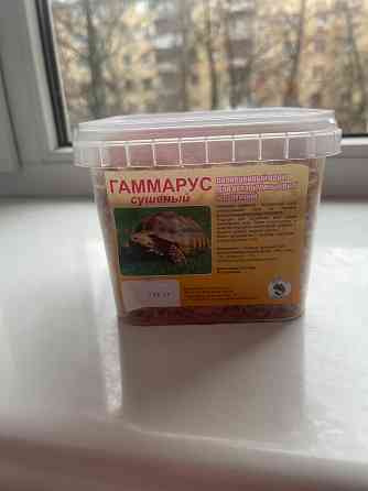 Гаммарус Донецк