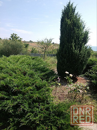 Продам 2х этажный дом с видом на море-Мелекино Мариуполь - изображение 3