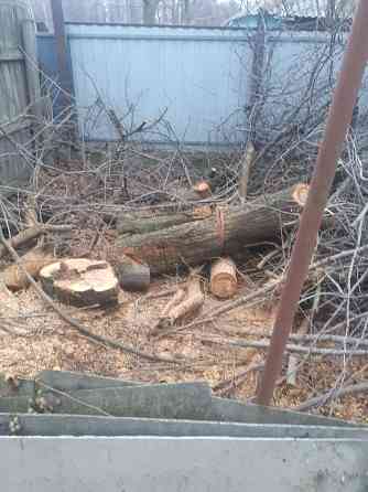 Валка деревьев. Уборка упавших, аварийных деревьев Донецк