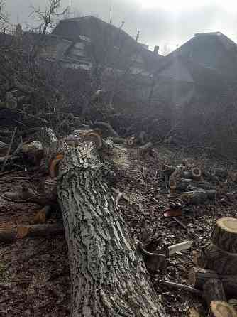 Валка деревьев. Уборка упавших, аварийных деревьев Донецк