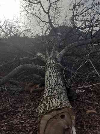 Валка деревьев. Уборка упавших, аварийных деревьев Донецк