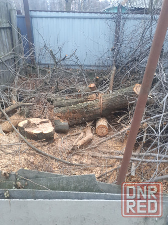 Валка деревьев. Уборка упавших, аварийных деревьев Донецк - изображение 1