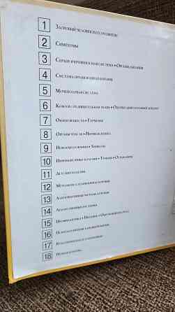 Продам медицинскую энциклопедию за 500 р. Донецк