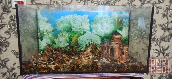 Аквариум Макеевка - изображение 1