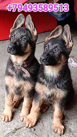 Немчики Донецк