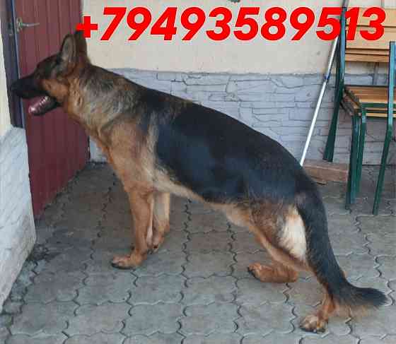 Немчики Донецк