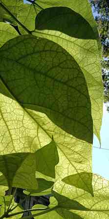 Видеомонтаж, обработка фото Макеевка