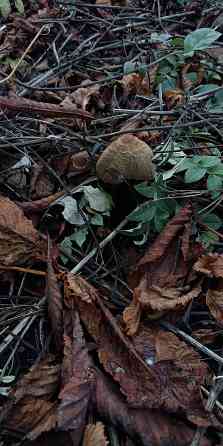 Видеомонтаж, обработка фото Макеевка