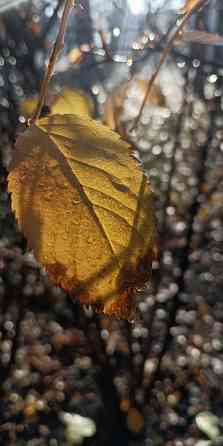 Видеомонтаж, обработка фото Макеевка