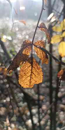 Видеомонтаж, обработка фото Макеевка
