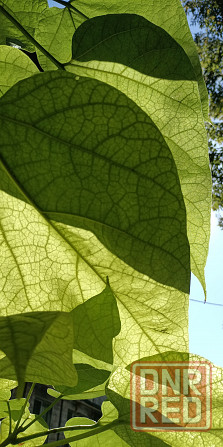 Видеомонтаж, обработка фото Макеевка - изображение 2