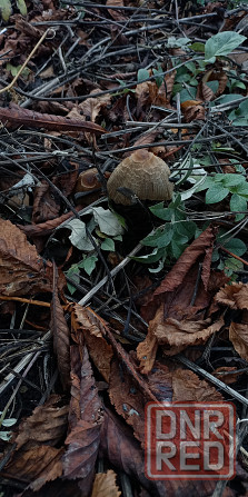 Видеомонтаж, обработка фото Макеевка - изображение 6