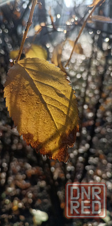 Видеомонтаж, обработка фото Макеевка - изображение 3